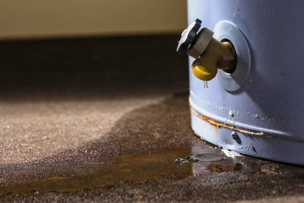 Best Mold removal after water damage  in Leisure Knoll, NJ