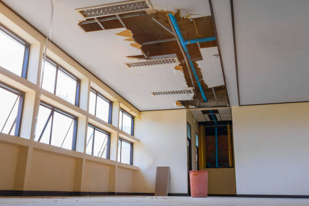 Best Water damage cleanup near me  in Leisure Knoll, NJ