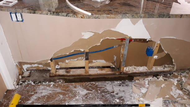 Best Professional water damage repair  in Leisure Knoll, NJ