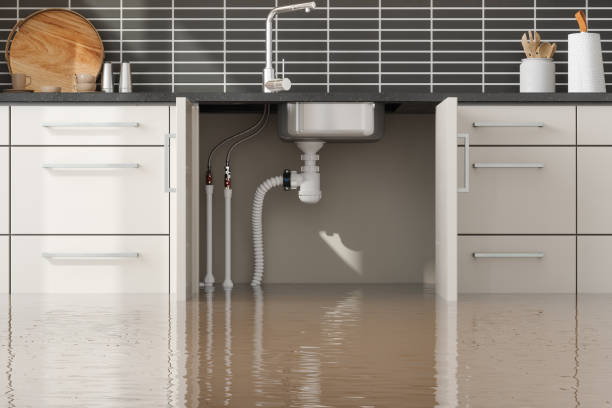 Best Carpet water damage restoration  in Leisure Knoll, NJ